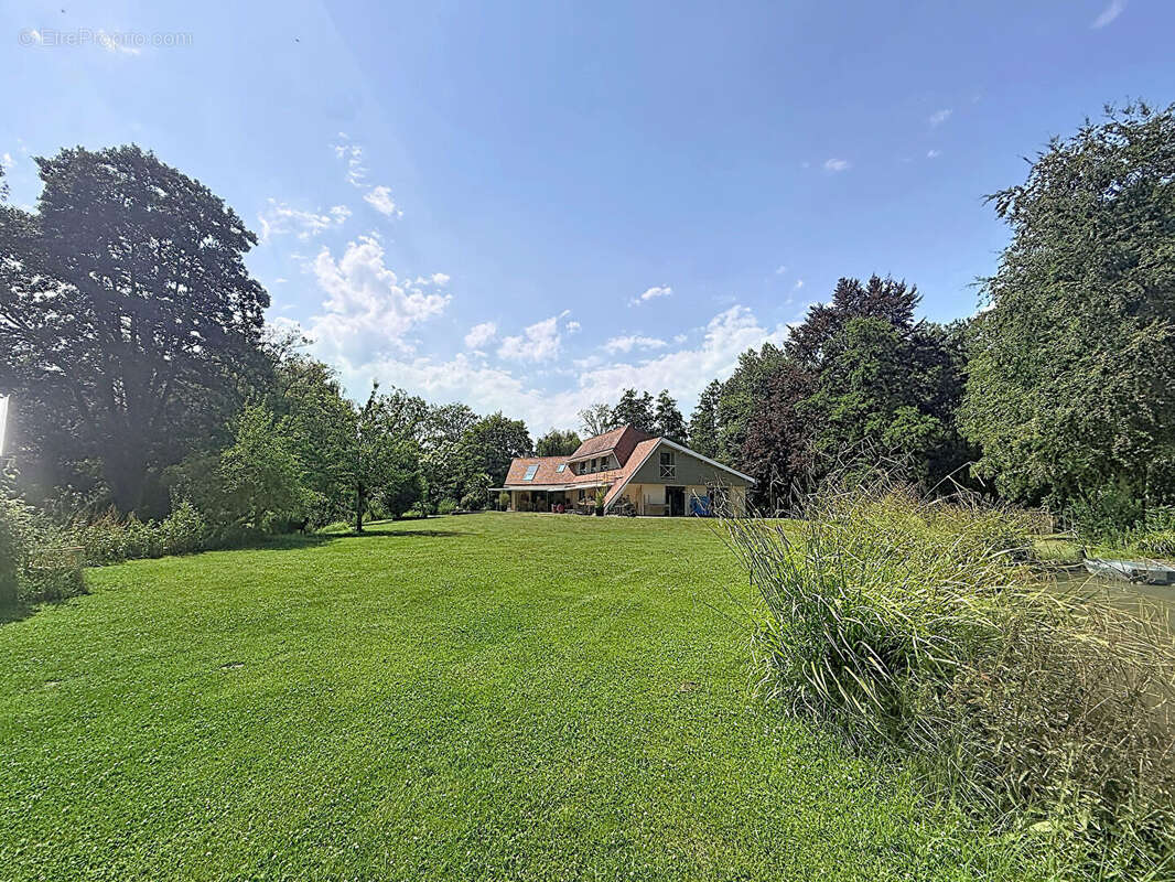 EXCLUSIVITE - THAON - Propriété de 275 m2 sur 9 000 m2 de terrain avec étang - photo 8
