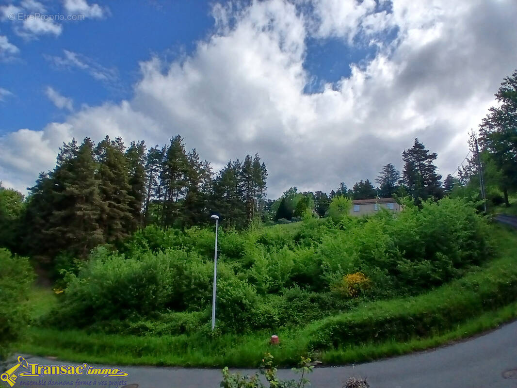 Terrain à COURPIERE