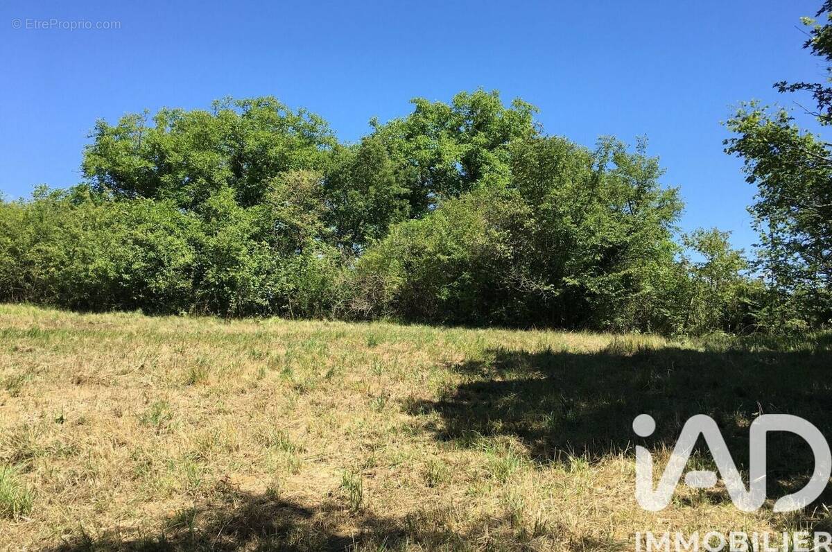 Photo 1 - Terrain à VIVONNE