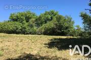 Photo 1 - Terrain à VIVONNE