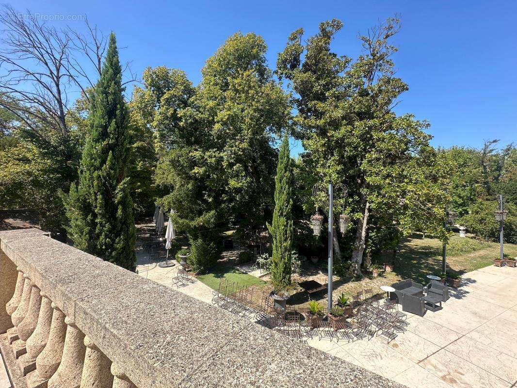 Château À Vendre - photo 21