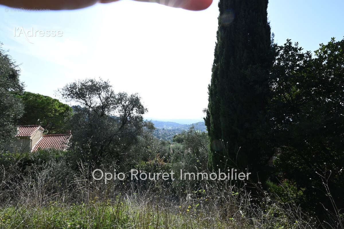 Terrain 1550 m² à Grasse  - photo 6
