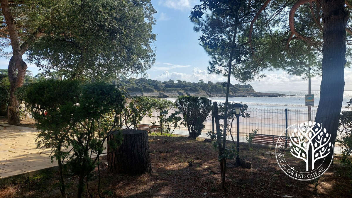 pins et arbres autour de la villa - Maison à SAINT-PALAIS-SUR-MER