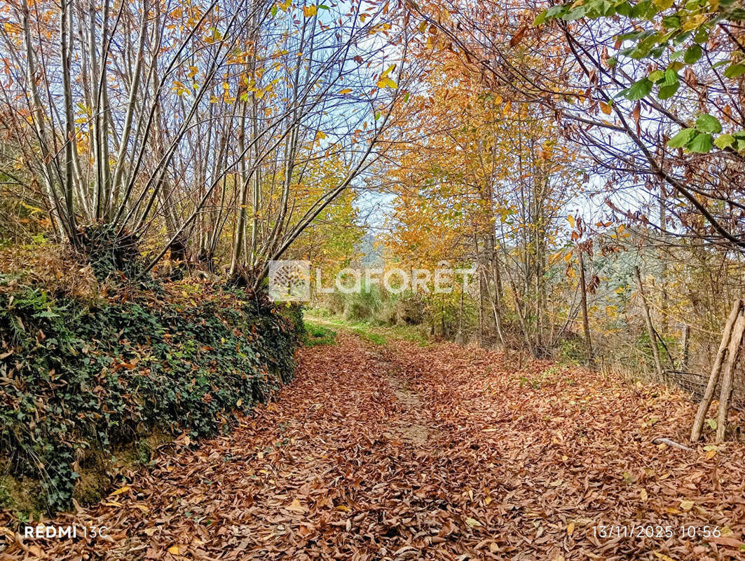 Terrain à SERRALONGUE