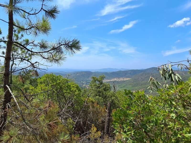 Terrain à BORMES-LES-MIMOSAS