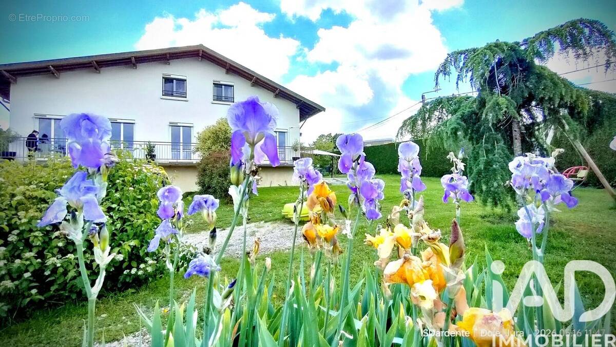 Photo 1 - Maison à DOLE