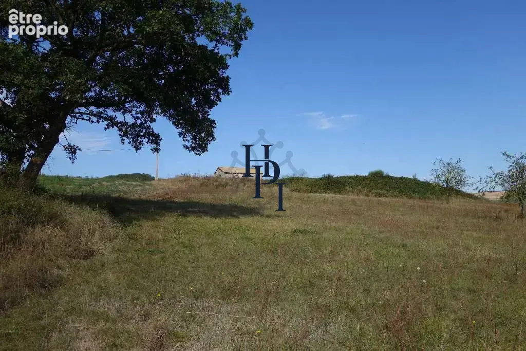 Vente dépôt avec 22.4 hectares de terrain Saint Affrique - photo 6