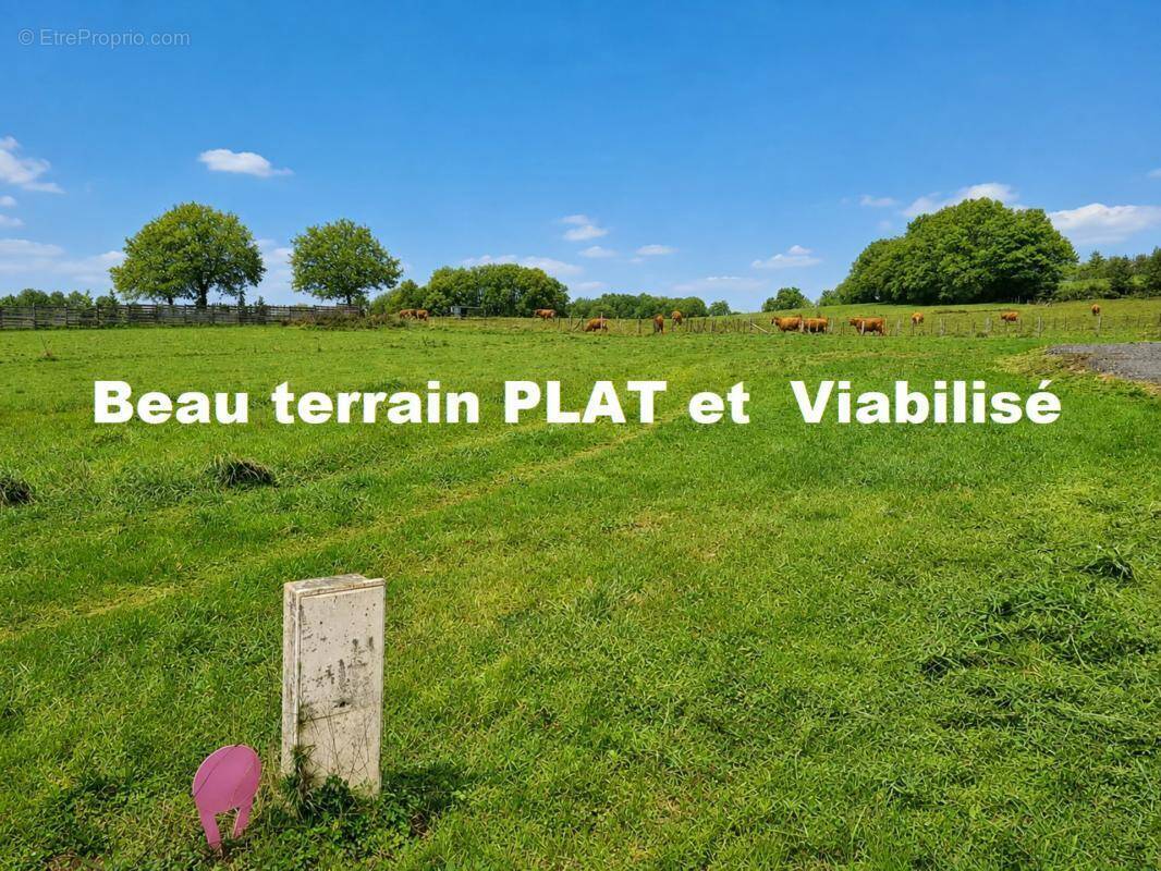 Terrain à SEILHAC