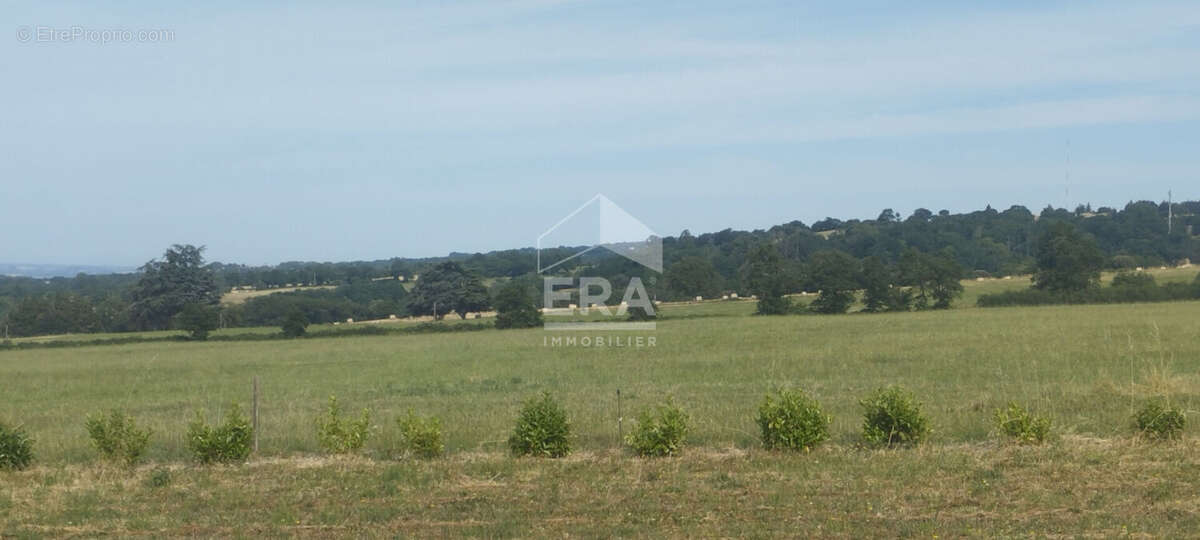 Terrain à SAISSAC