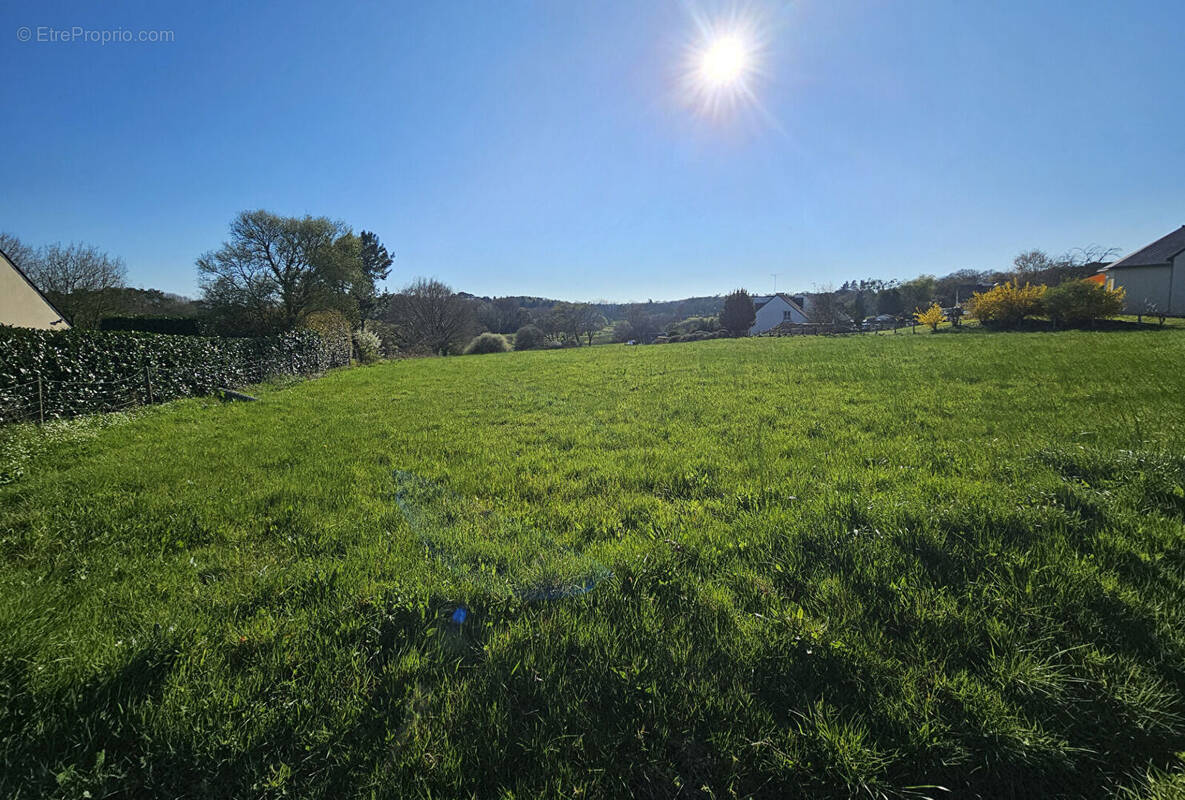 Terrain à SAINT-MOLF