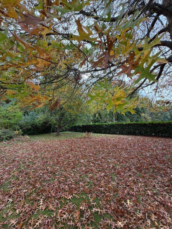 Terrain à MAREIL-LE-GUYON