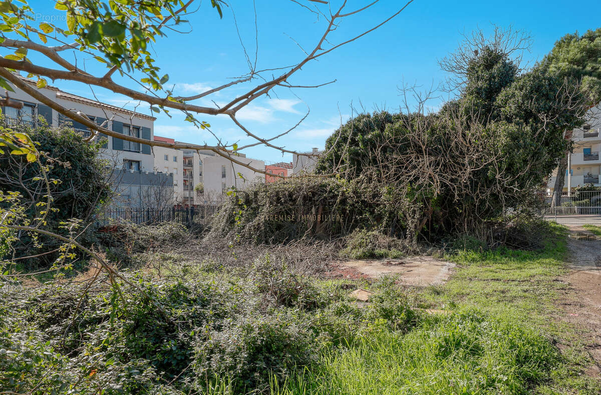 Terrain à LE LAVANDOU
