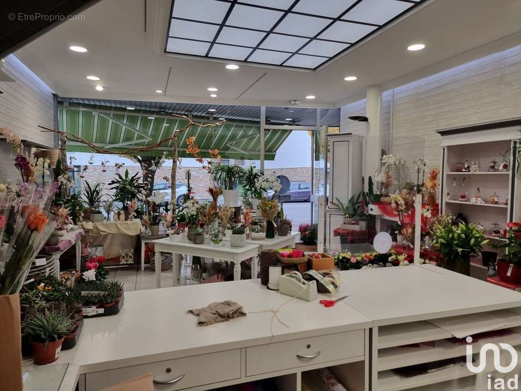 Photo 4 - Commerce à ANCENIS