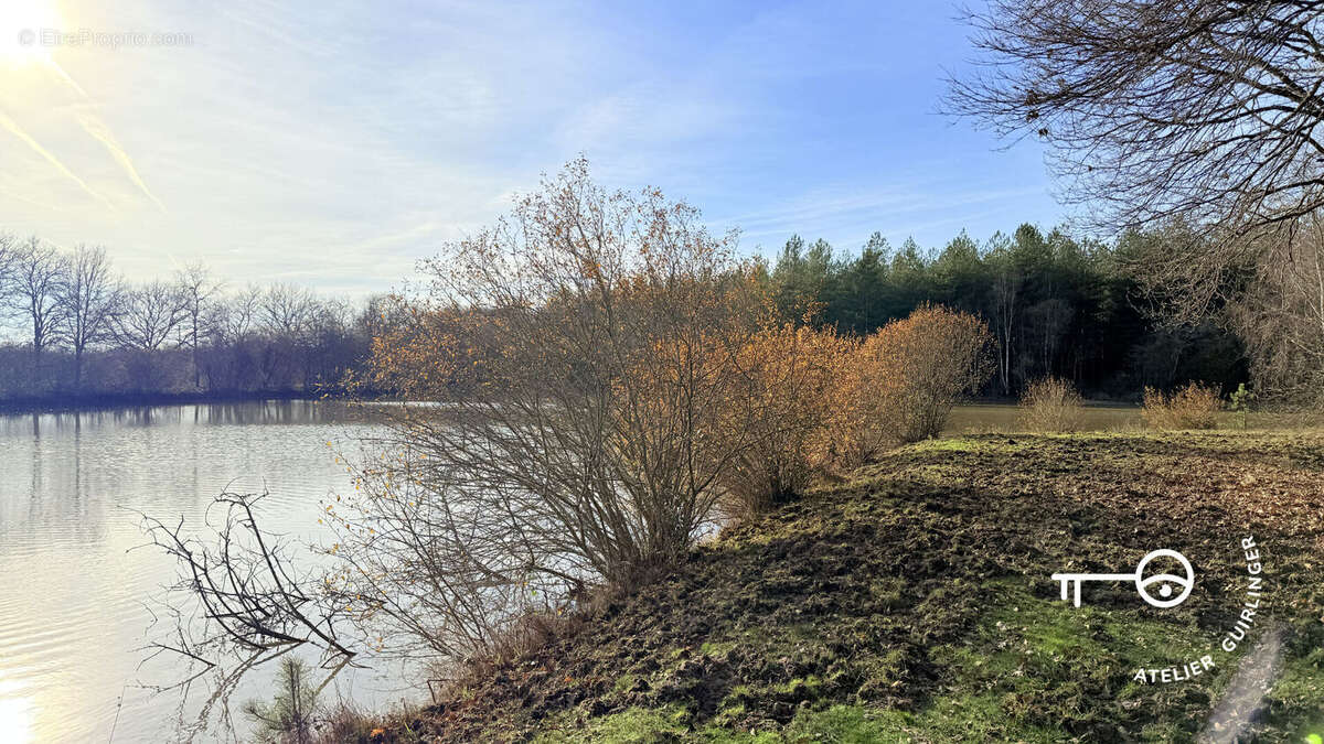 Terrain à NEUNG-SUR-BEUVRON