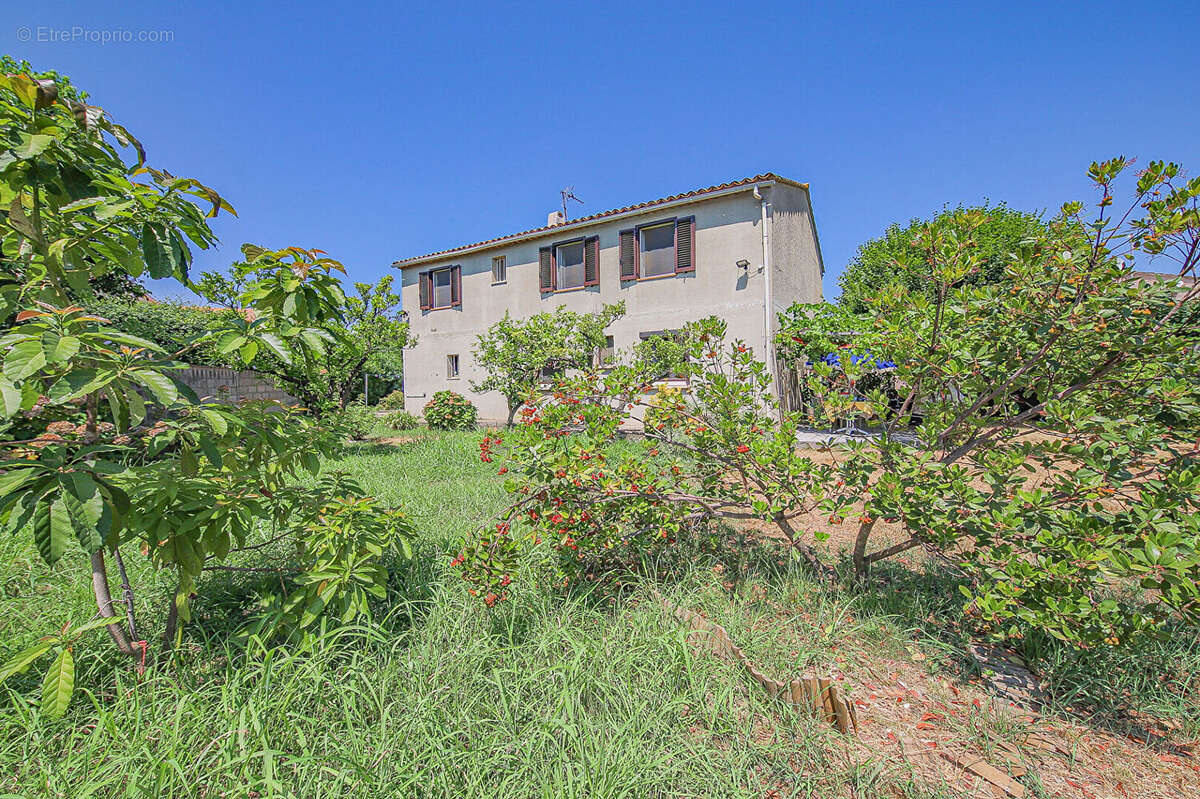 Vescovato : Grande maison à haut potentiel - photo 3