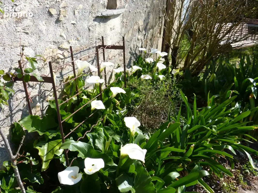 MONTBERT Maison pleine de charme sur très joli jardin - photo 5