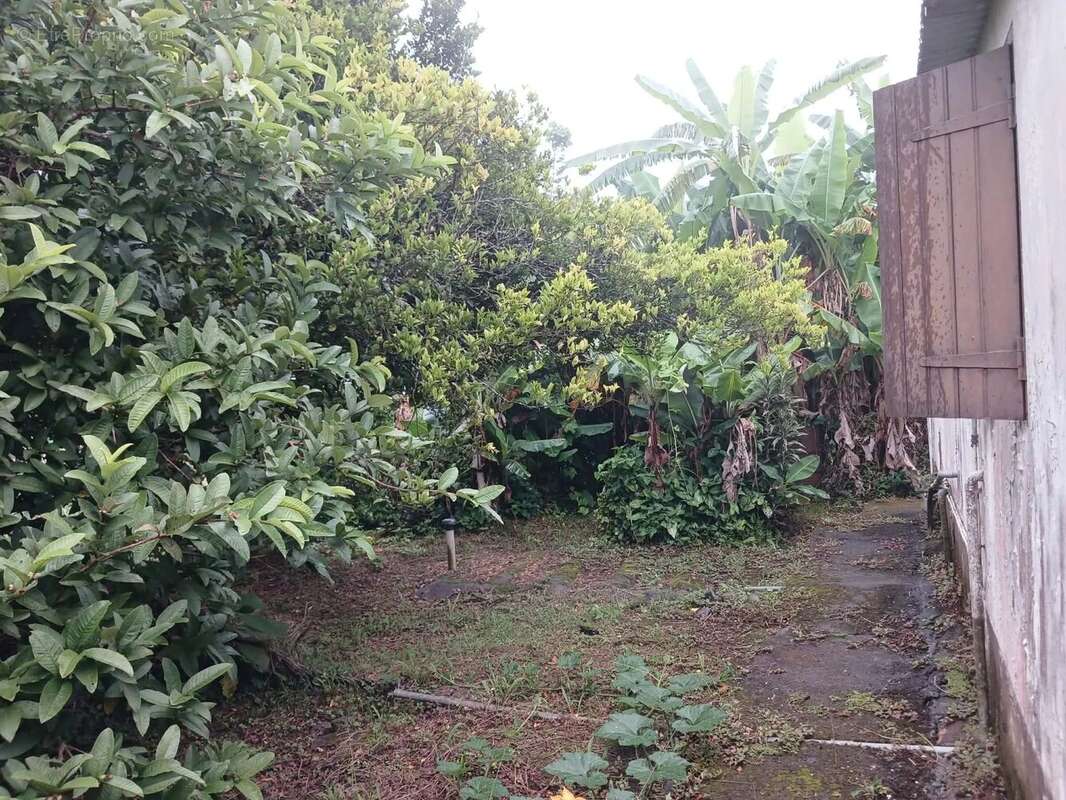 Maison à SAINT-LOUIS