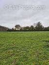 Terrain à SAINT-SATURNIN