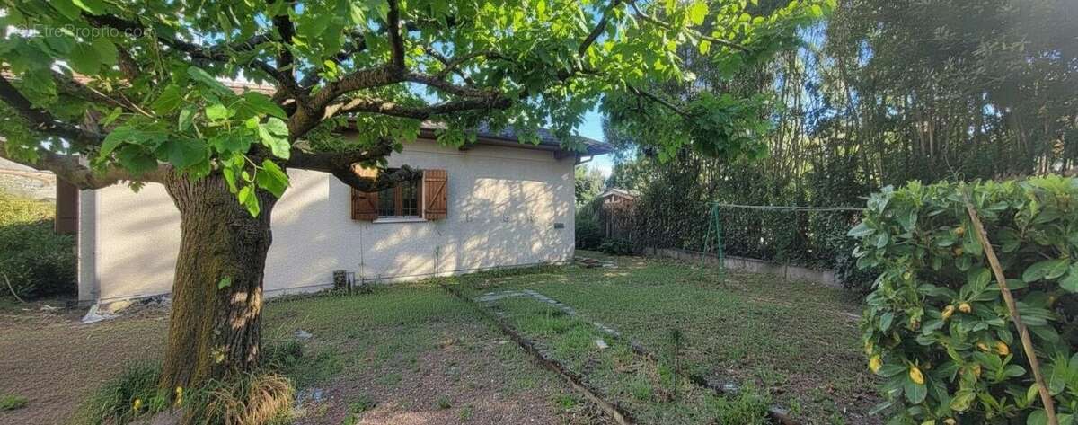 Photo 3 - Maison à PESSAC