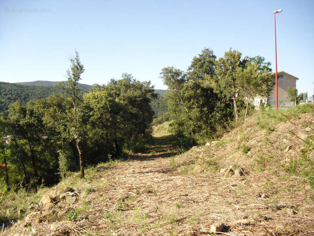 Terrain à AMELIE-LES-BAINS-PALALDA