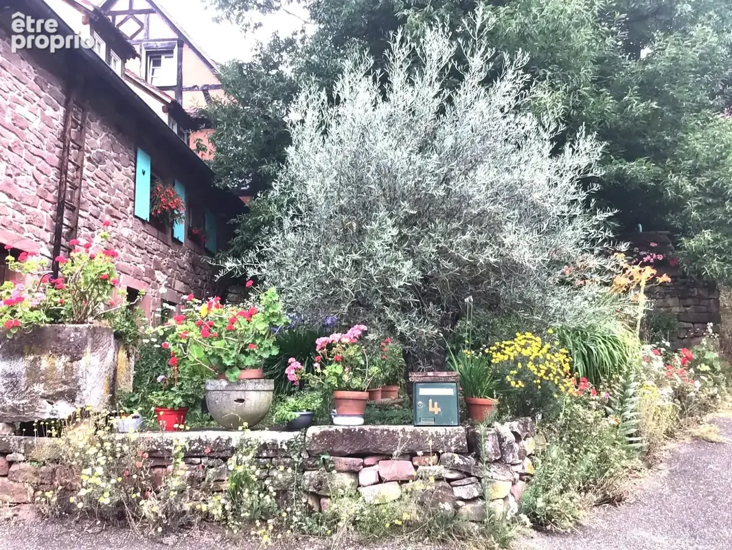 Maison à DIMBSTHAL
