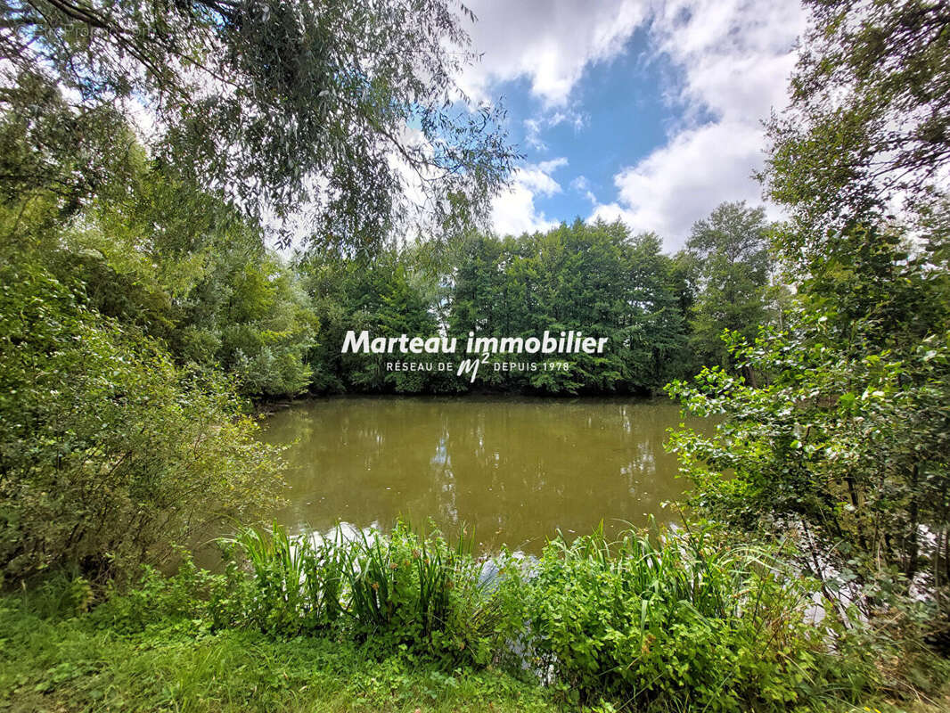 Terrain de loisirs Yvre L Eveque - photo 3