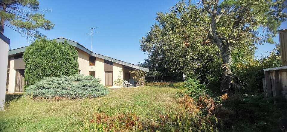 Terrain 1107 m² à Andernos-Les-Bains  - photo 3