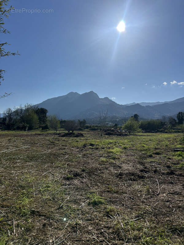 Terrain à SANTA-LUCIA-DI-MORIANI