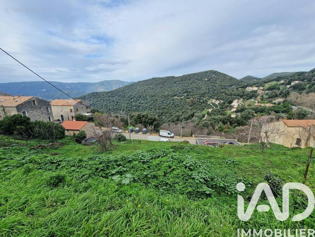 Photo 1 - Terrain à SOLLACARO