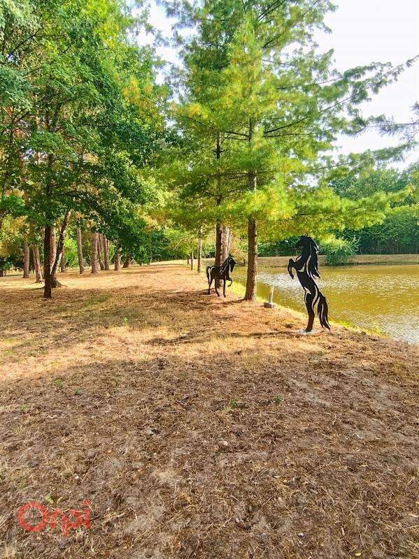 Maison à ROMORANTIN-LANTHENAY