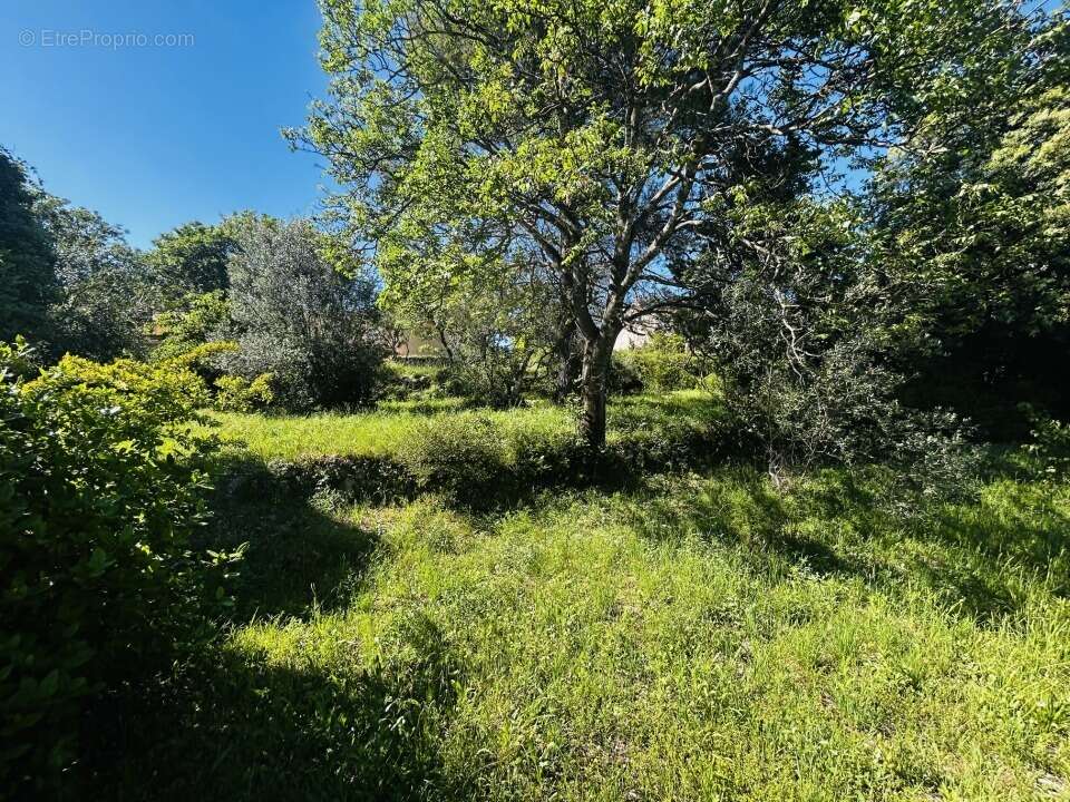 Terrain 550 m² à Draguignan  - photo 2