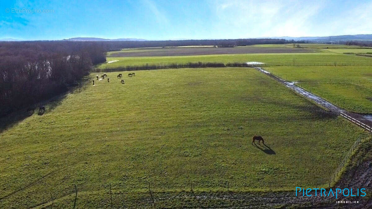 Maison à SENNECEY-LE-GRAND