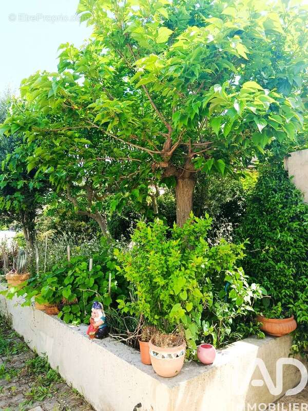 Photo 6 - Maison à LA PENNE-SUR-HUVEAUNE