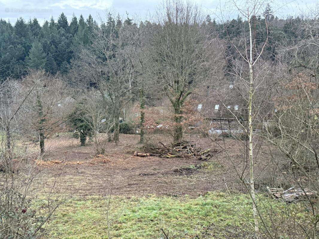 Terrain à OBERHASLACH