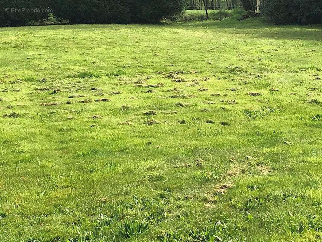 Photo 2 - Terrain à SAUTRON