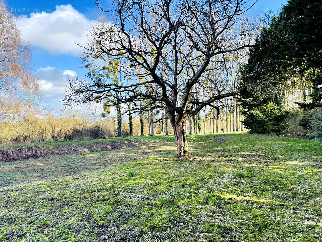 Terrain de loisir avec étang - 7 650 m² de nature - photo 10