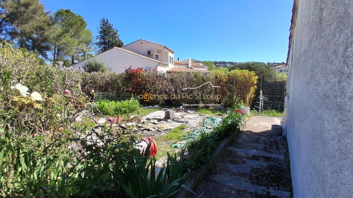 Jardin avant aménagement - Maison à SAINT-GELY-DU-FESC