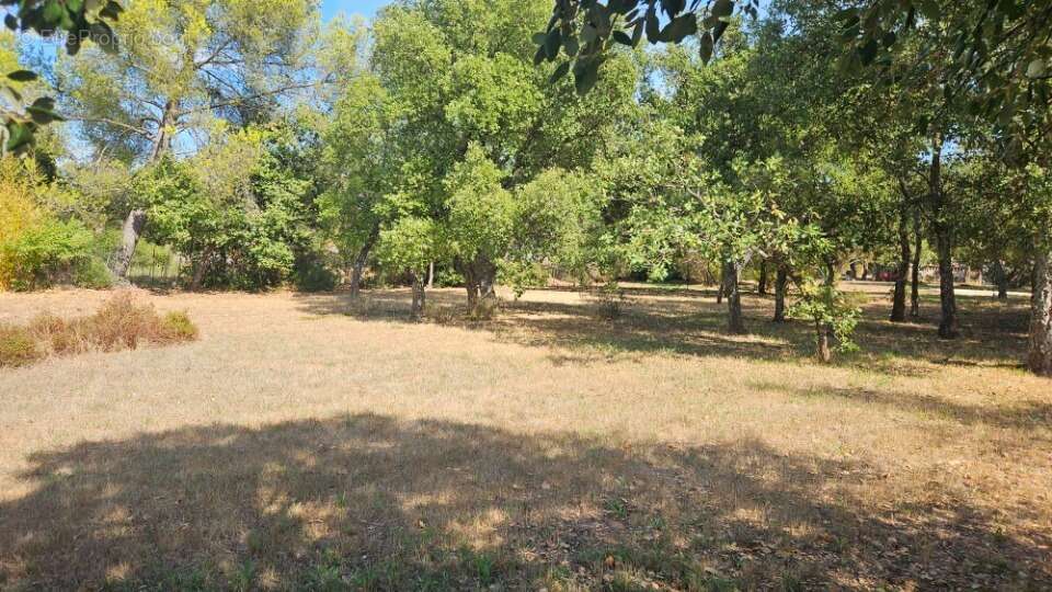 Terrain à LE CANNET-DES-MAURES