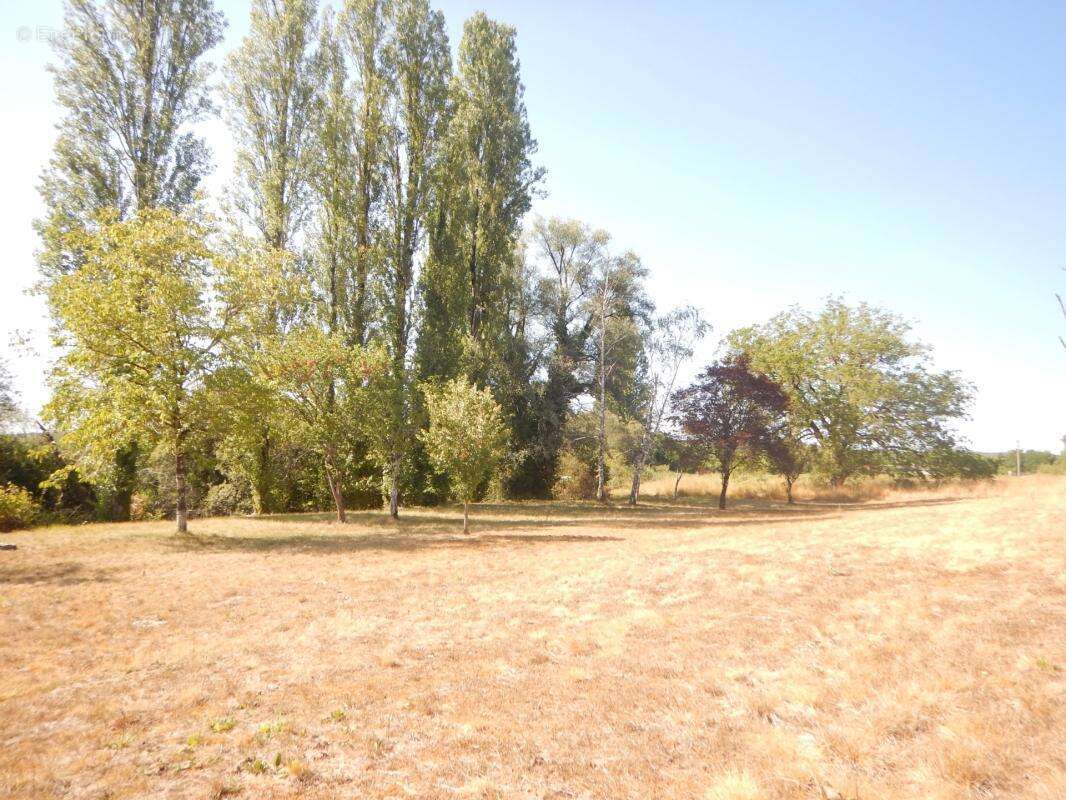 Terrain de loisir de 3 060 m² sur la commune de Cubjac-Auvezère-Val d'Ans (24) - photo 8