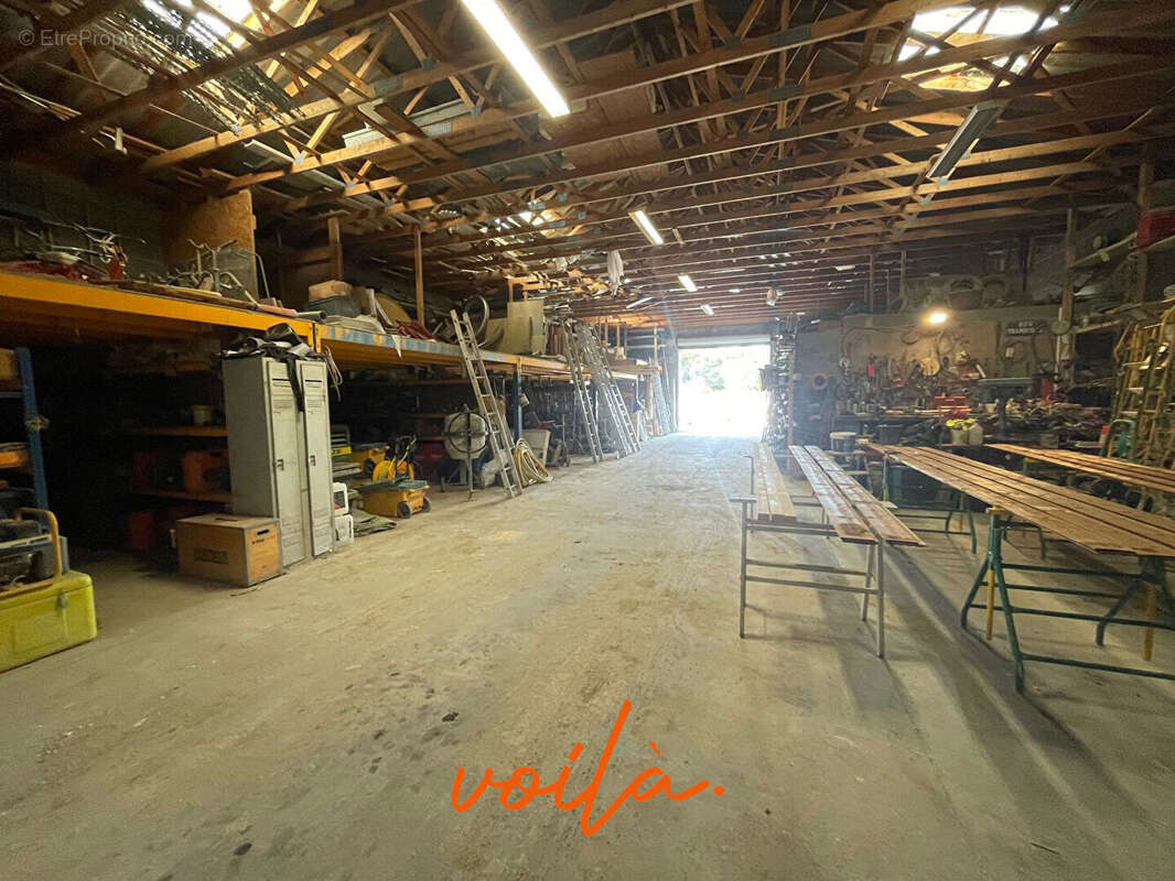 Commerce à CARCASSONNE