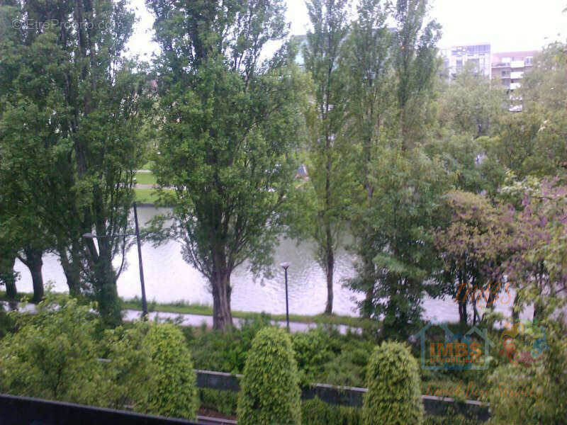 Commerce à MULHOUSE