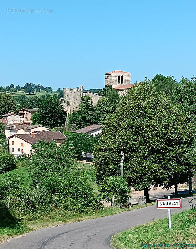Terrain à SAUVIAT