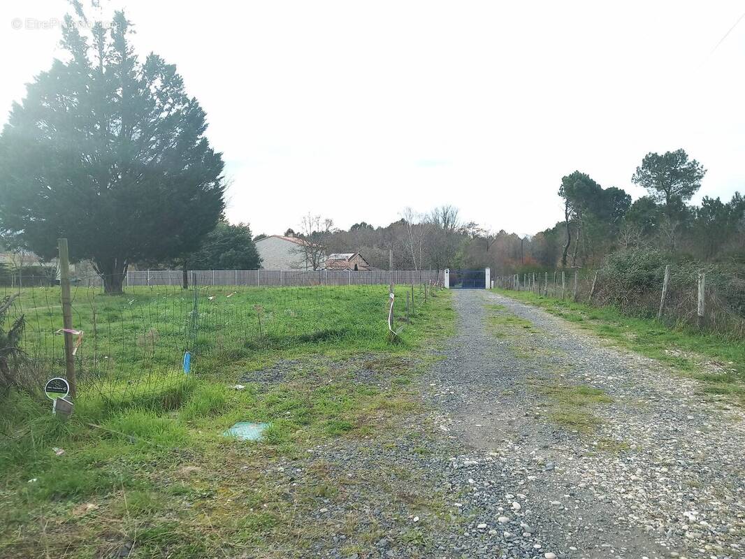 Terrain à AVENSAN