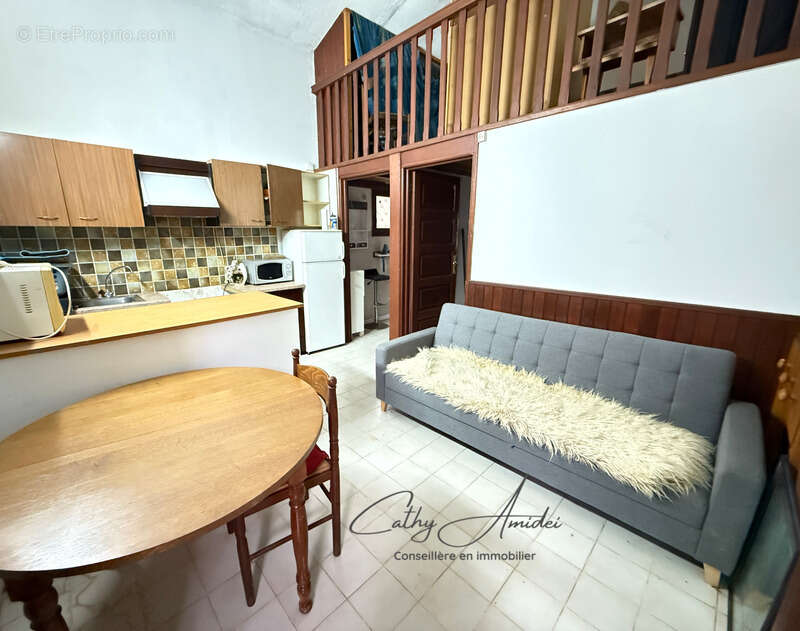 SAGONE (Corse) : Propriete à vendre, maison T4 + dépendance avec 2 appartements T1, sur terrain plat de 5000m2 - photo 14