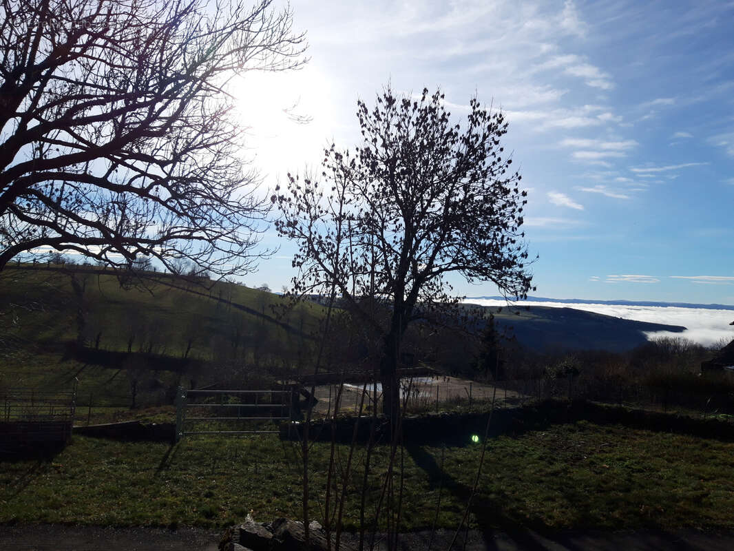 Grande grange à fort potentiel - photo 5