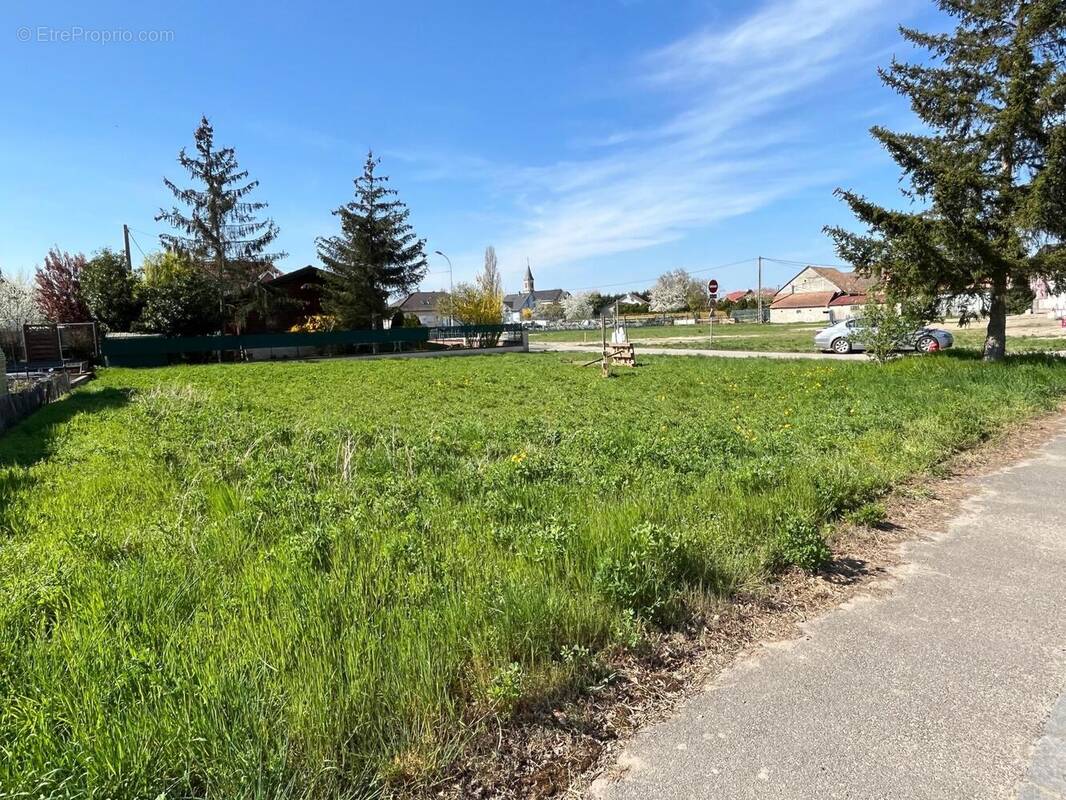 Photo 1 - Terrain à BALGAU