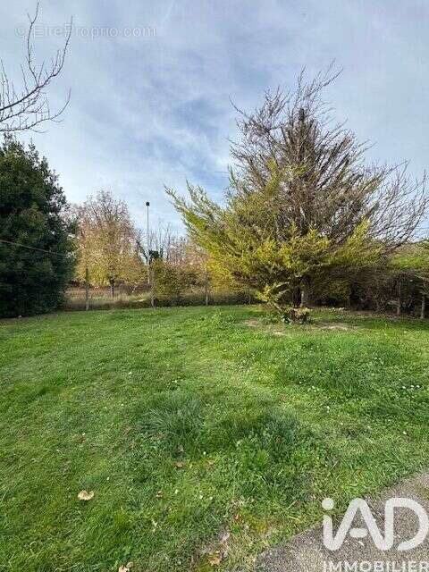 Photo 3 - Maison à MORET-SUR-LOING