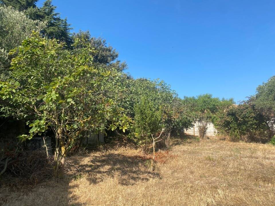 Terrain à SIX-FOURS-LES-PLAGES