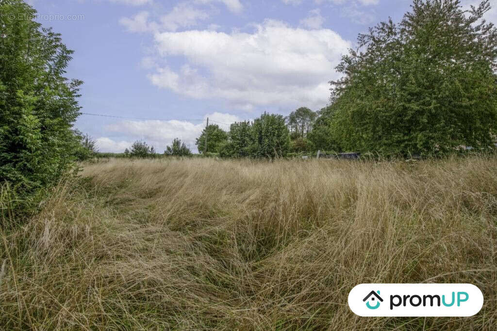 Terrain à THIEUX