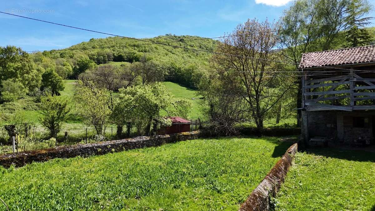 Maison avec jardin - photo 11